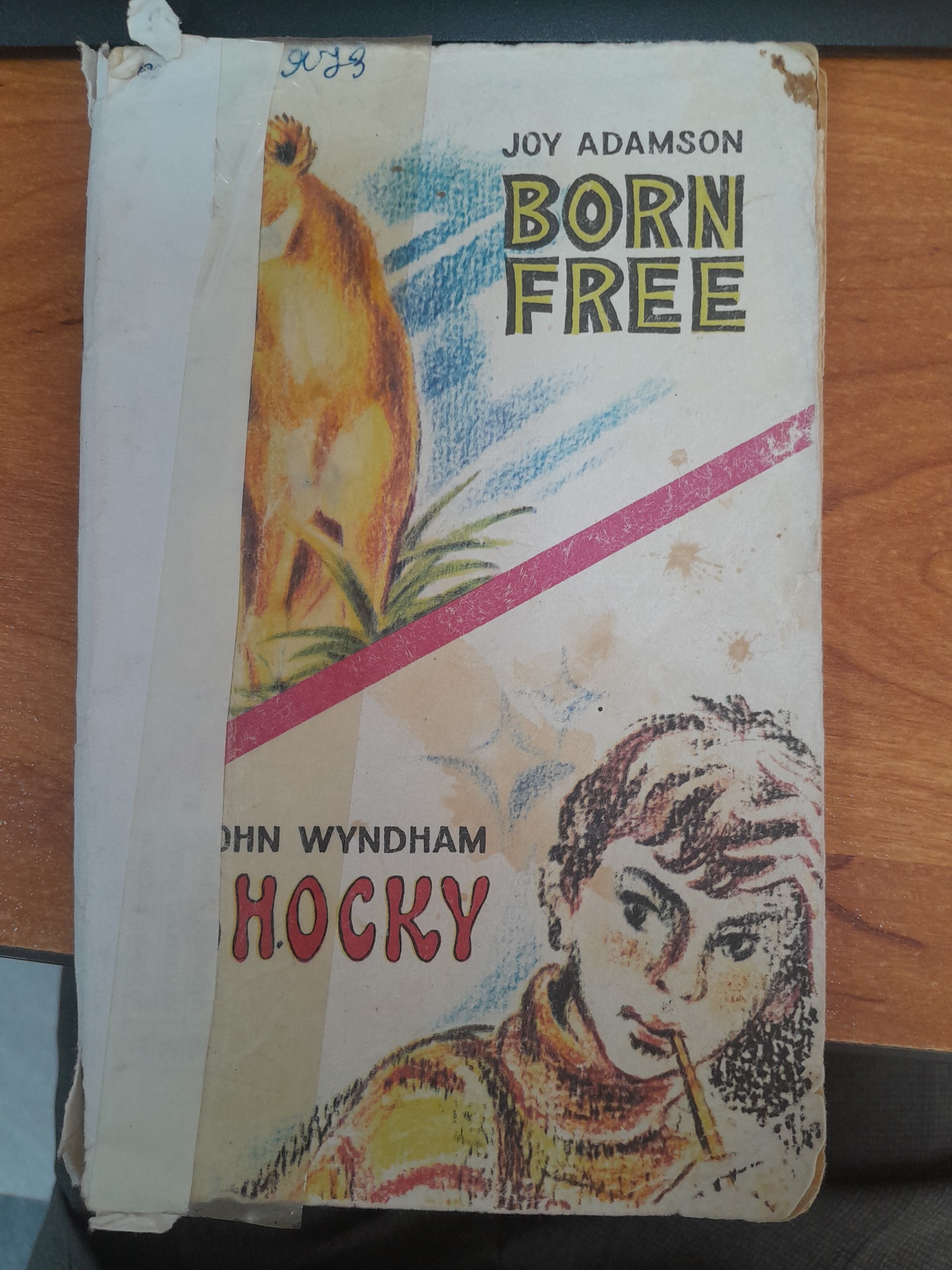 Joy Adamson Born Free