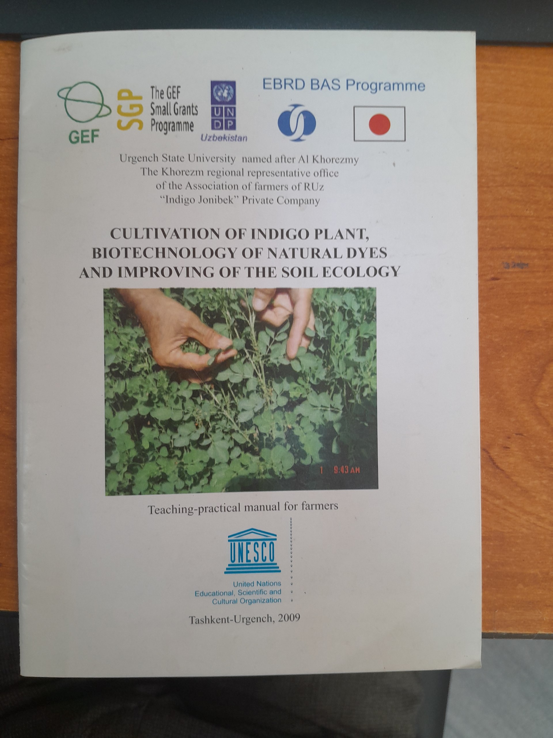 Cultivation of indigo plant biotechnology of natural dyes and improving of the soil ecology
