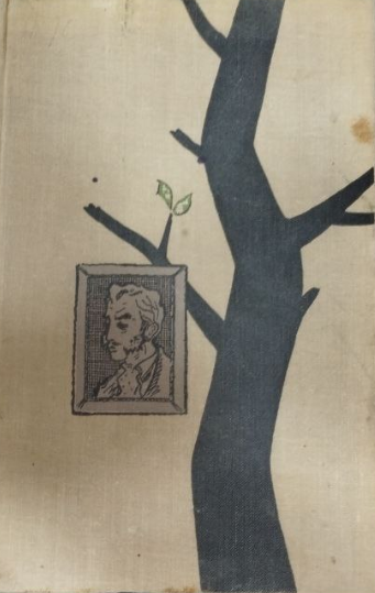 Дон касмурро