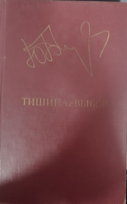 Тишина. Выбор